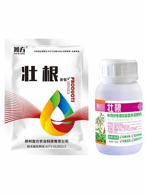 白术、苍术壮根