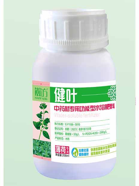 薄荷健叶