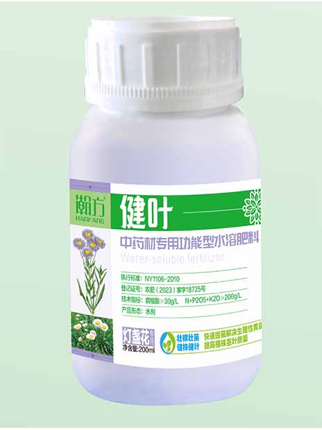 灯盏花健叶