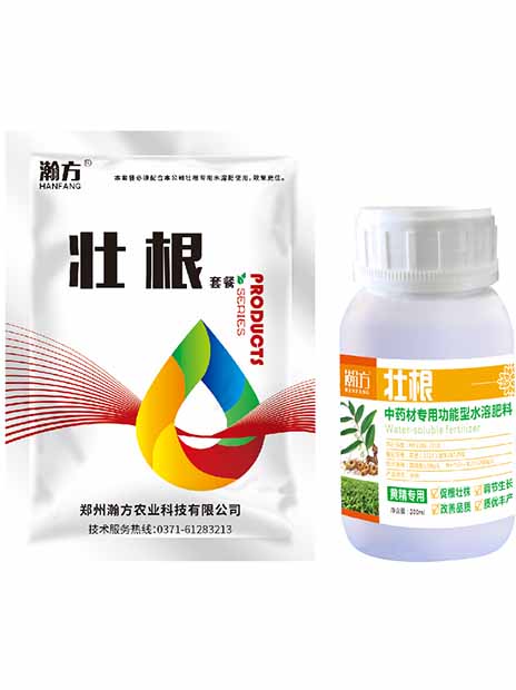 黄精壮根