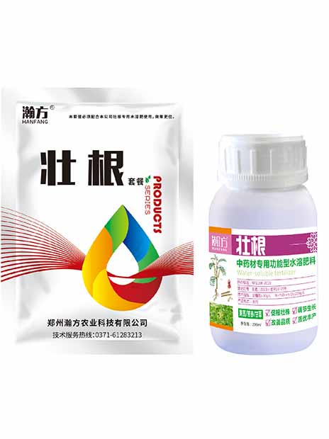 黄芪壮根