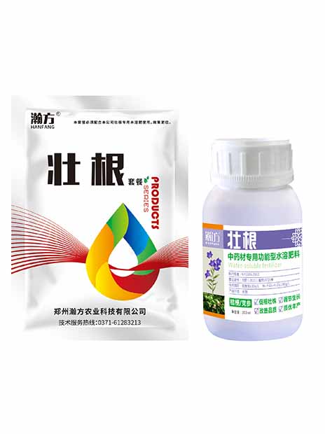 桔梗党参壮根