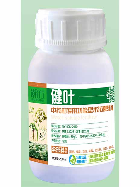 伞形科健叶