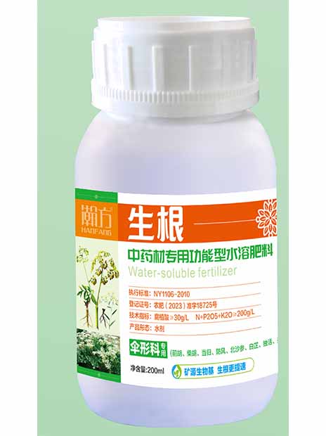 伞形科生根