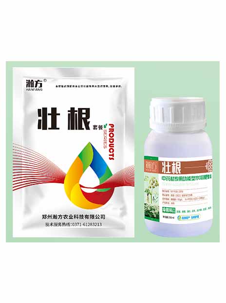 伞形科壮根