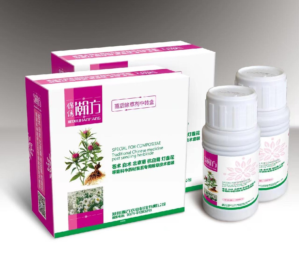 菊科 苍术、白术、北京菊、灯盏花