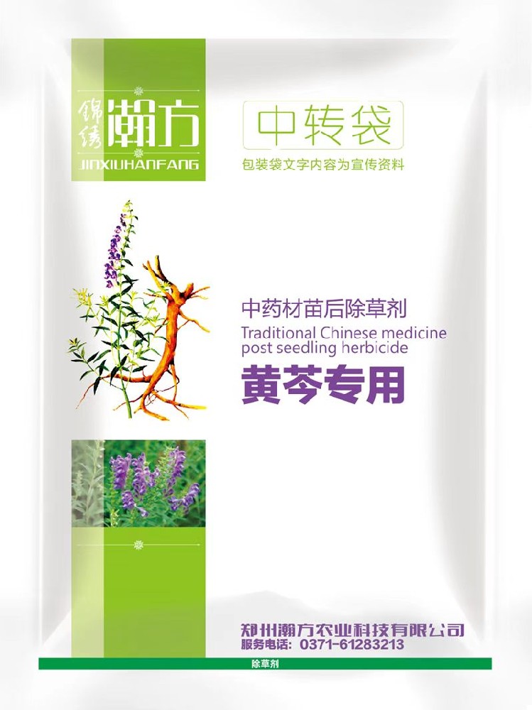 黄芩